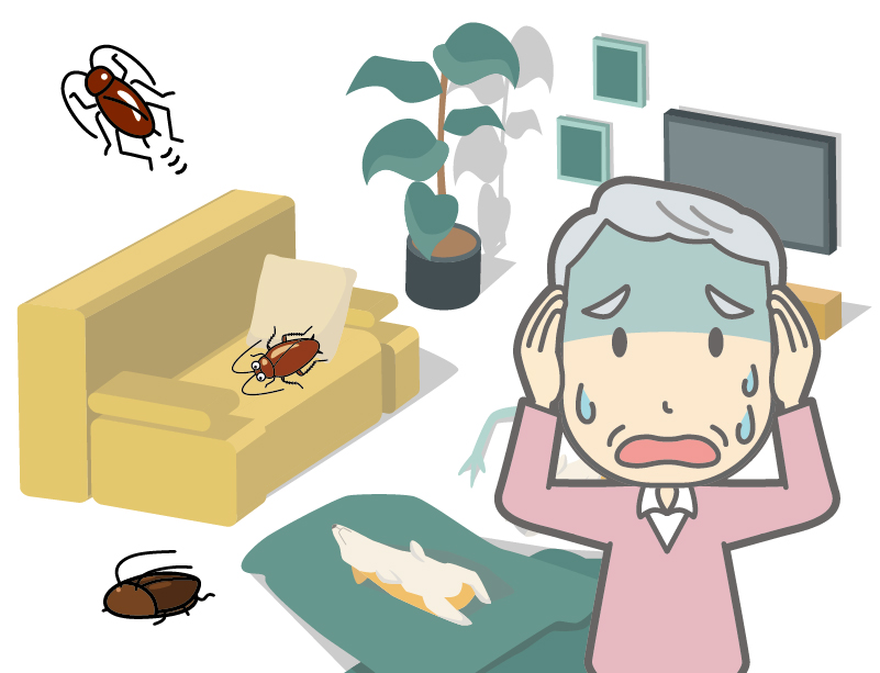 岡崎市大幡町のゴキブリ駆除事例