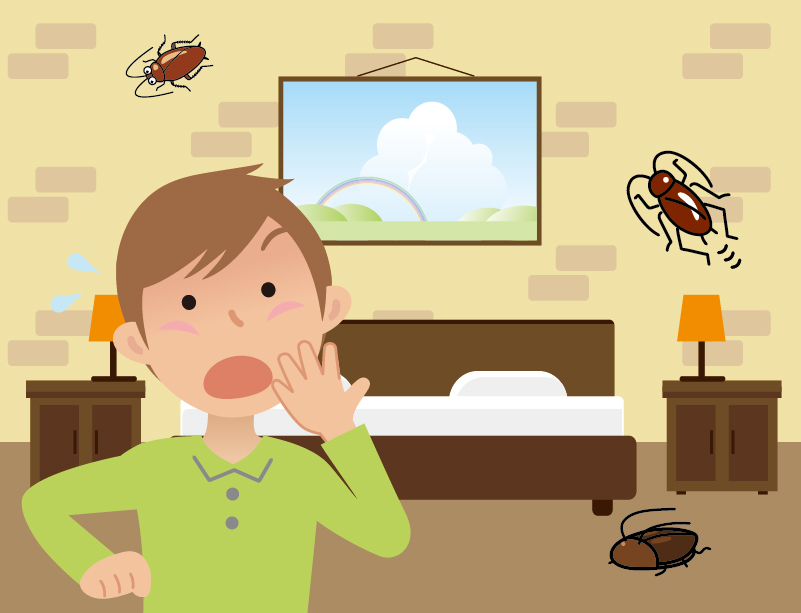 春日井市割塚町のゴキブリ駆除事例