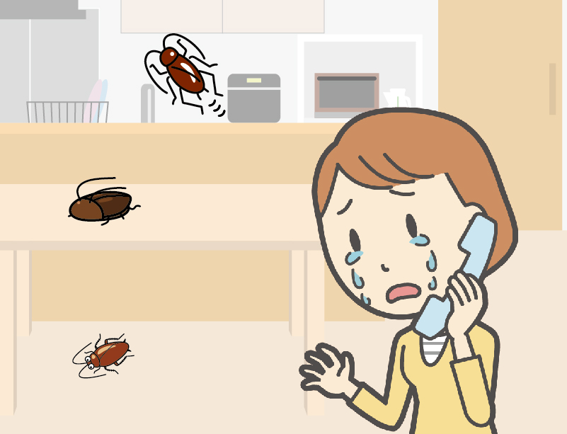 池田市槻木町のゴキブリ駆除事例