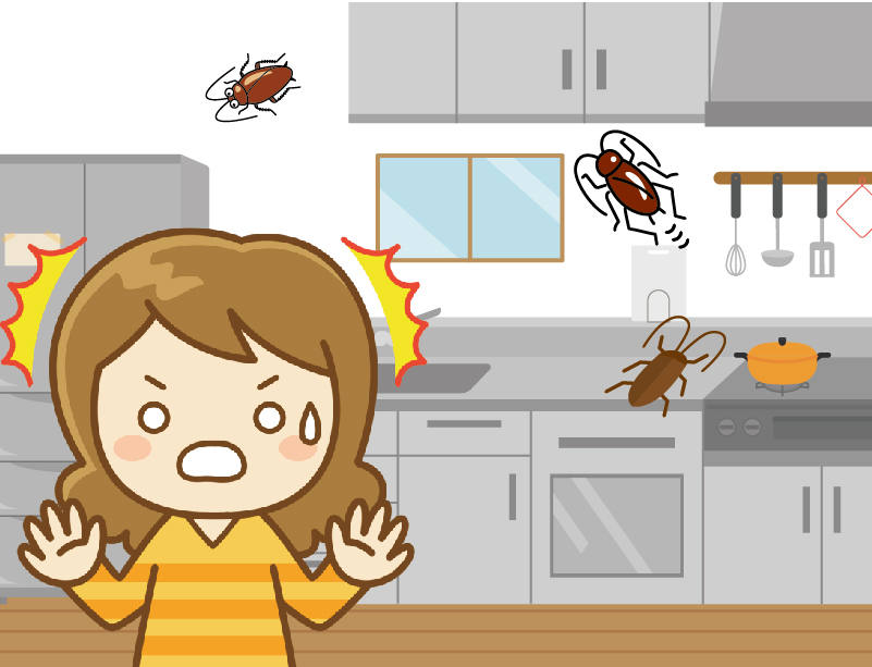 池田市新町のゴキブリ駆除事例