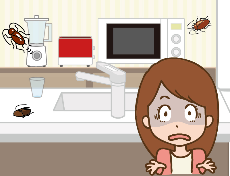 池田市槻木町のゴキブリ駆除事例