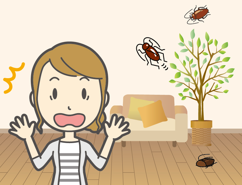 岡崎市日名本町のゴキブリ駆除事例