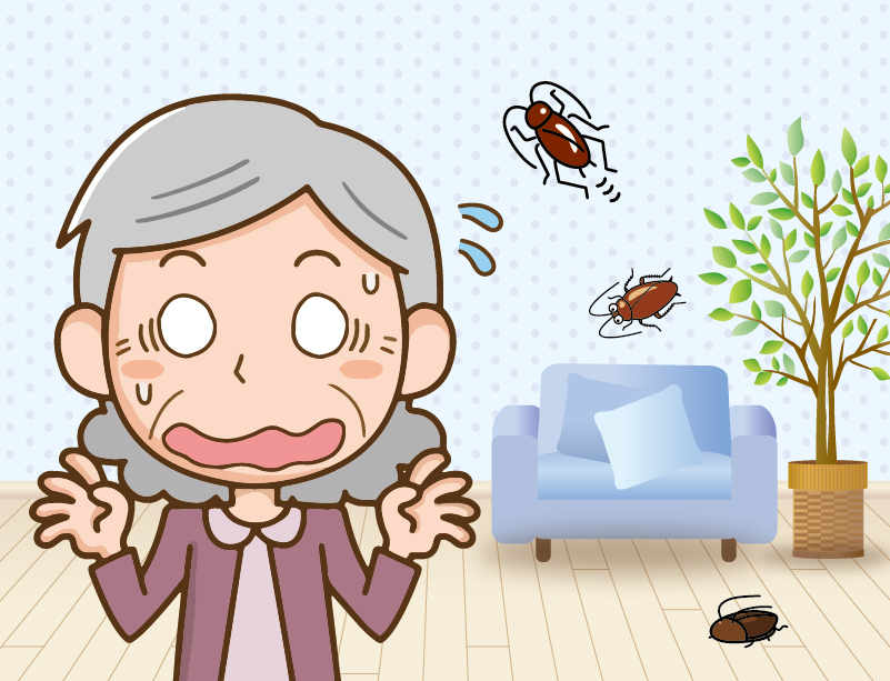 池田市古江町のゴキブリ駆除事例