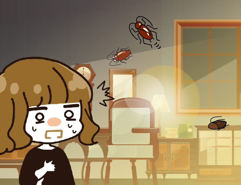 岡崎市美合新町のゴキブリ駆除事例