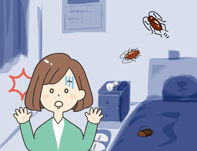 岡崎市百々町のゴキブリ駆除事例