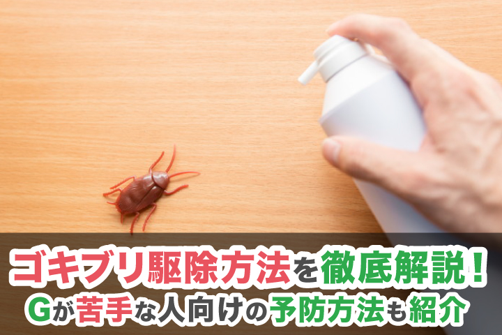 ゴキブリ駆除方法を徹底解説！Gが苦手な人向けの予防方法も紹介のイメージ