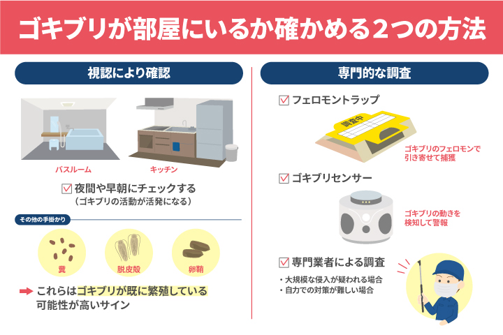 ゴキブリが部屋にいるか確かめる方法