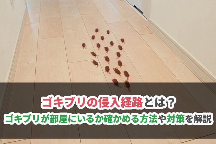 ゴキブリの侵入経路とは？ゴキブリが部屋にいるか確かめる方法や対策を解説のイメージ