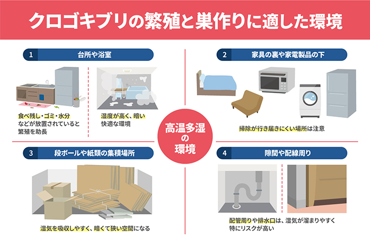 クロゴキブリの繁殖に適した環境と巣作りの場所