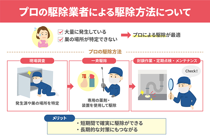 プロに依頼する駆除方法