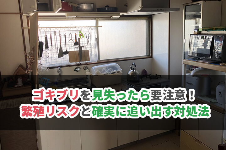 ゴキブリを見失ったら要注意！繁殖リスクと確実に追い出す対処法のイメージ