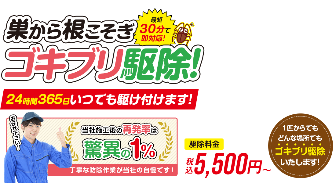 ゴキブリ駆除なら24時間完全対応のゴキブリ駆除24 再発率1